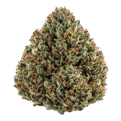 Runtz THCa Flower - Excellent Choice