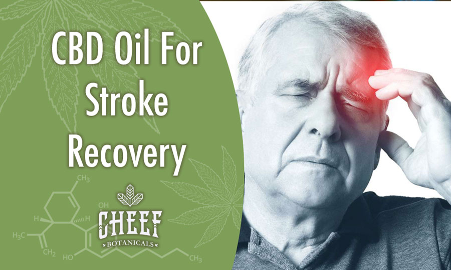 cbd oil for stroke recovery