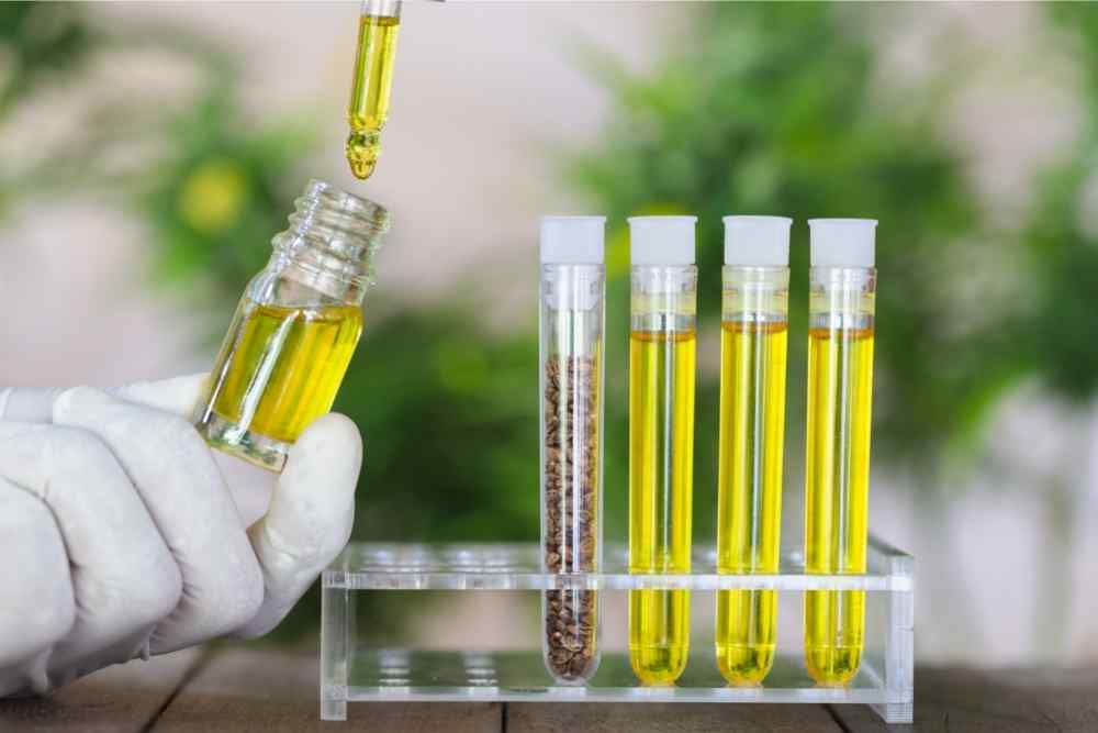 formulating hemp concoctions in lab