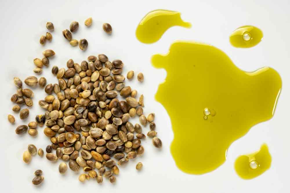 hemp seed oil white background