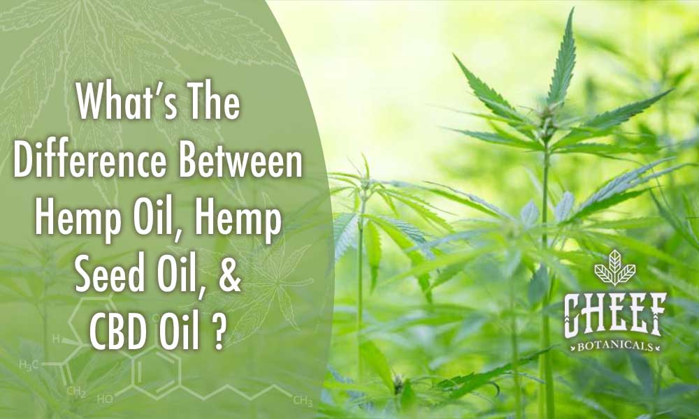 what is the difference between hemp oil and cbd oil