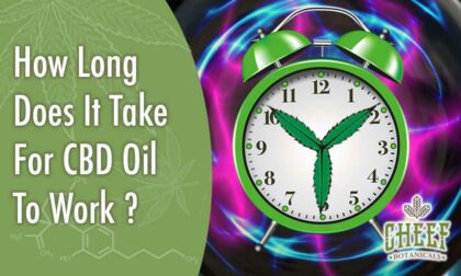 how long does it take for cbd oil to work