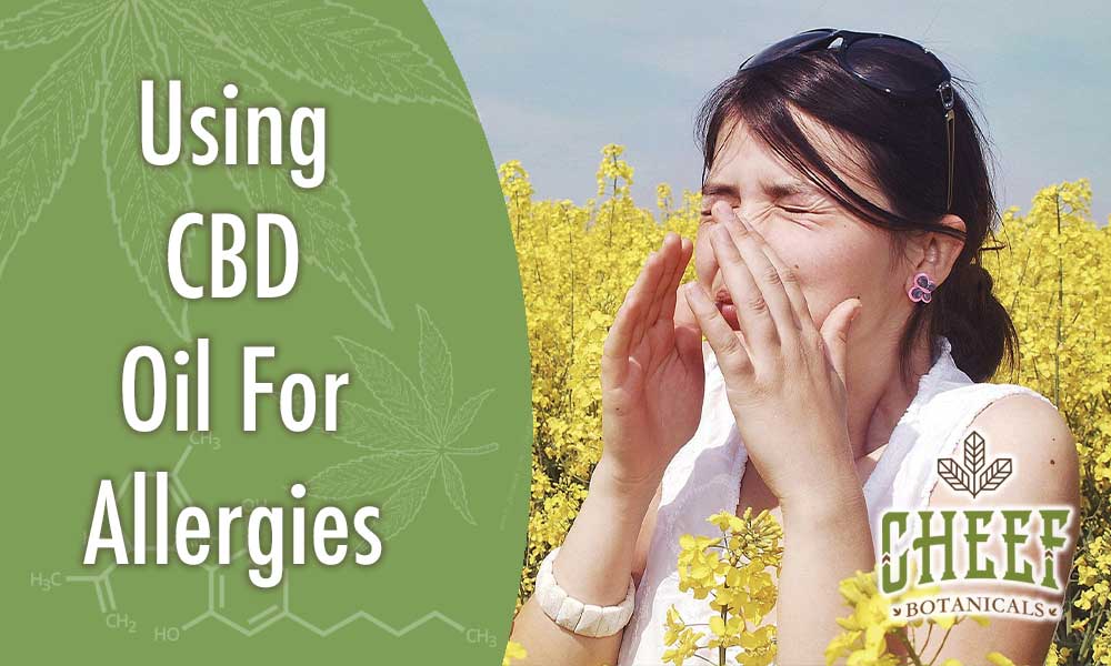 cbd oil for allergies