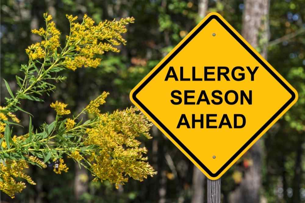 sign can tell you have allergies