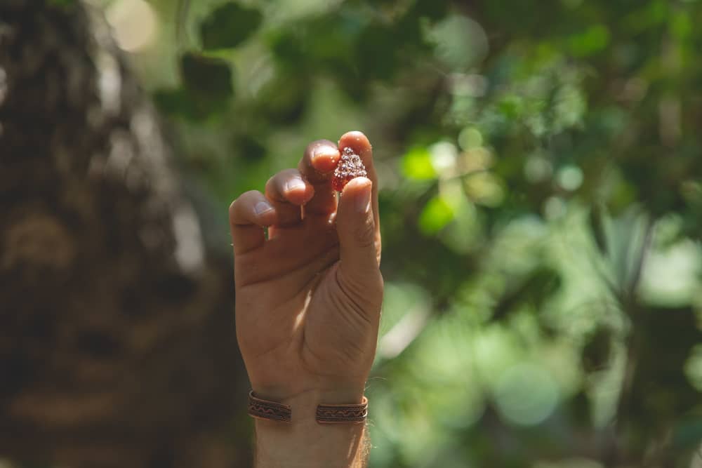 holding a hemp gummy