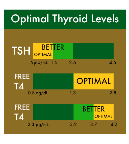 Thyroid Chart