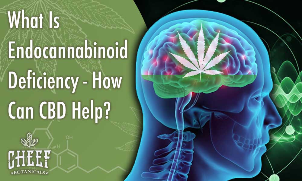 What Is Endocannabinoid Deficiency? (How CBD May Help)