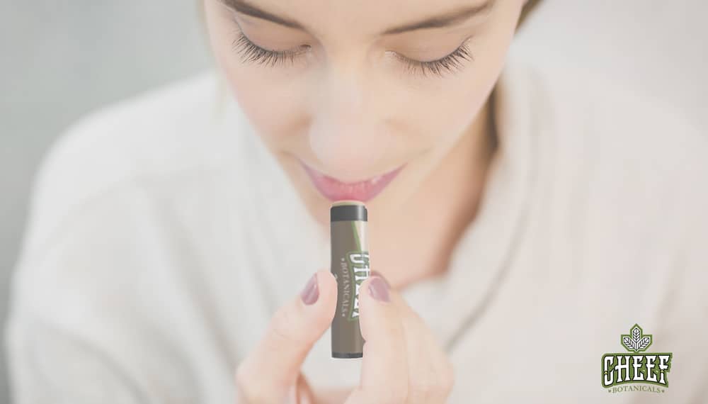 Cbd Lip Balm Powerful Soothing Nourishment For Your Lips 