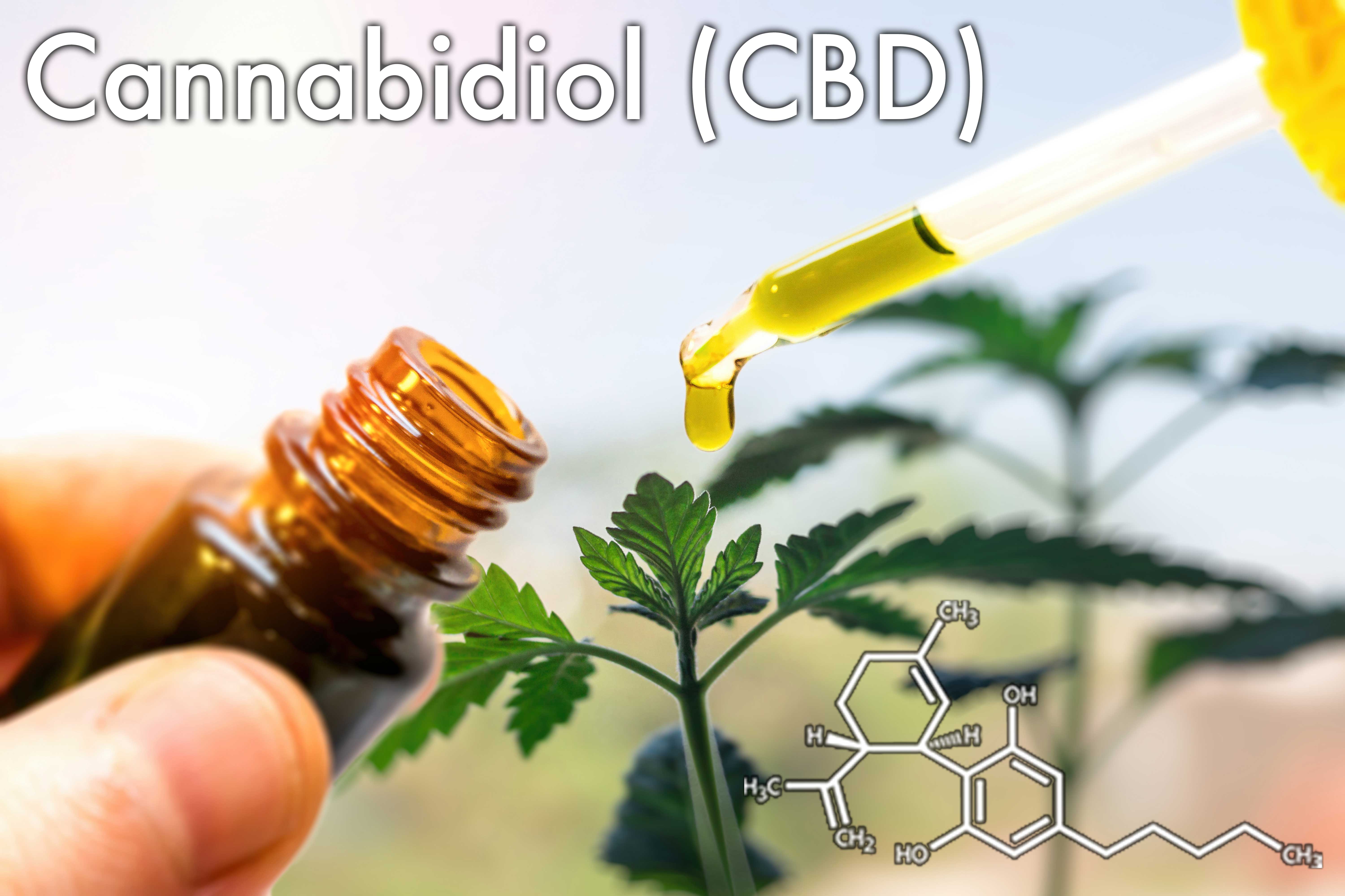 ⋆ Can You Use Cbd Oil As Lube Sexual Wellness Guide ⋆ Cbdmagnates 