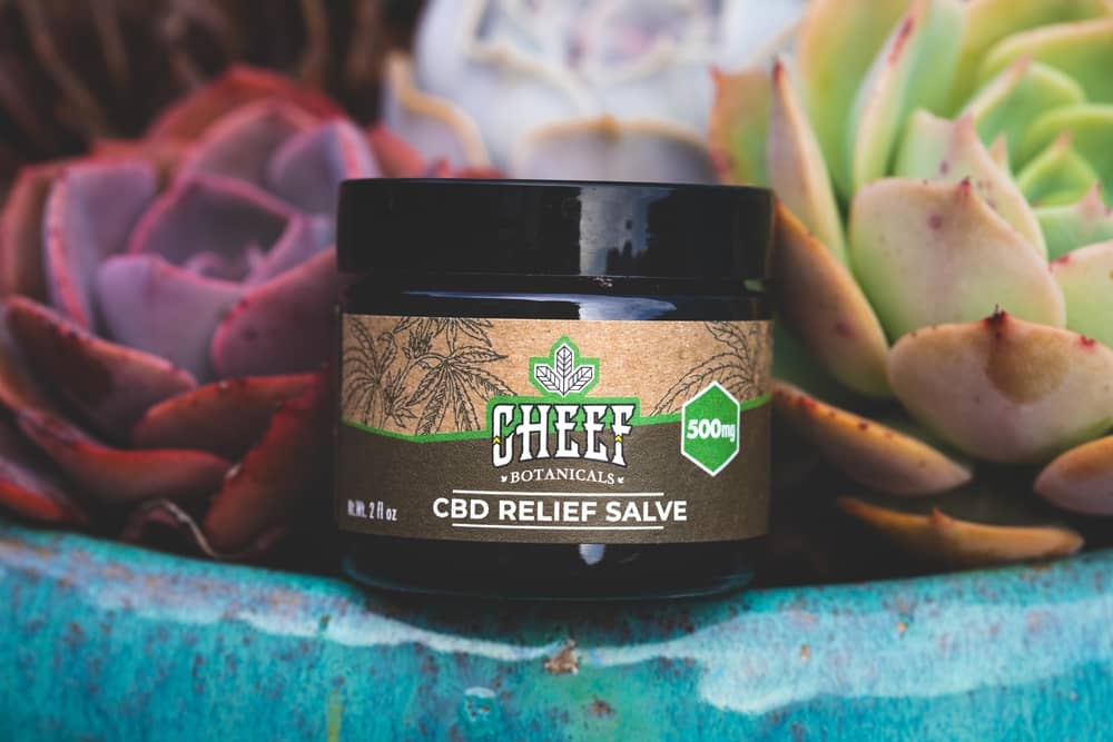 cheef moisturizer with colorful succulents