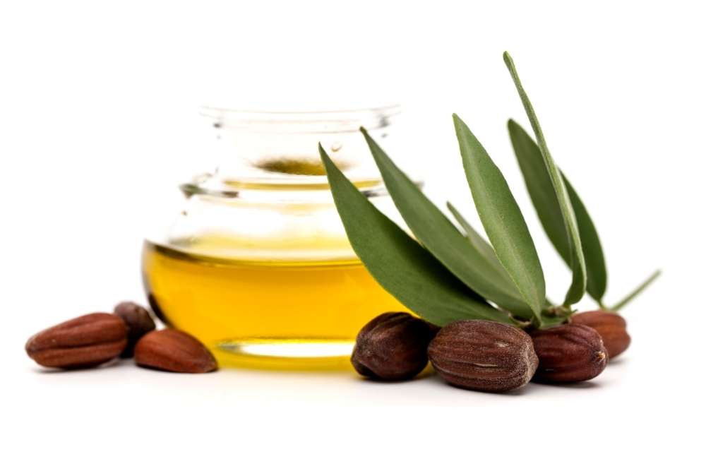 jojoba beans with oil container
