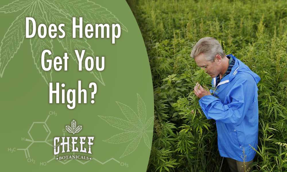 Does hemp get you high