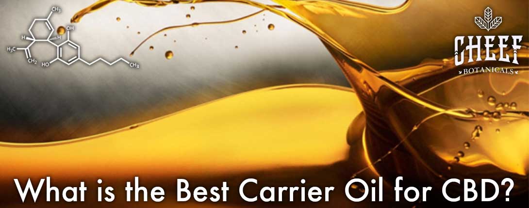 the best CBD carrier oil