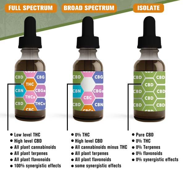 full spectrum vs broad spectrum vs isolate