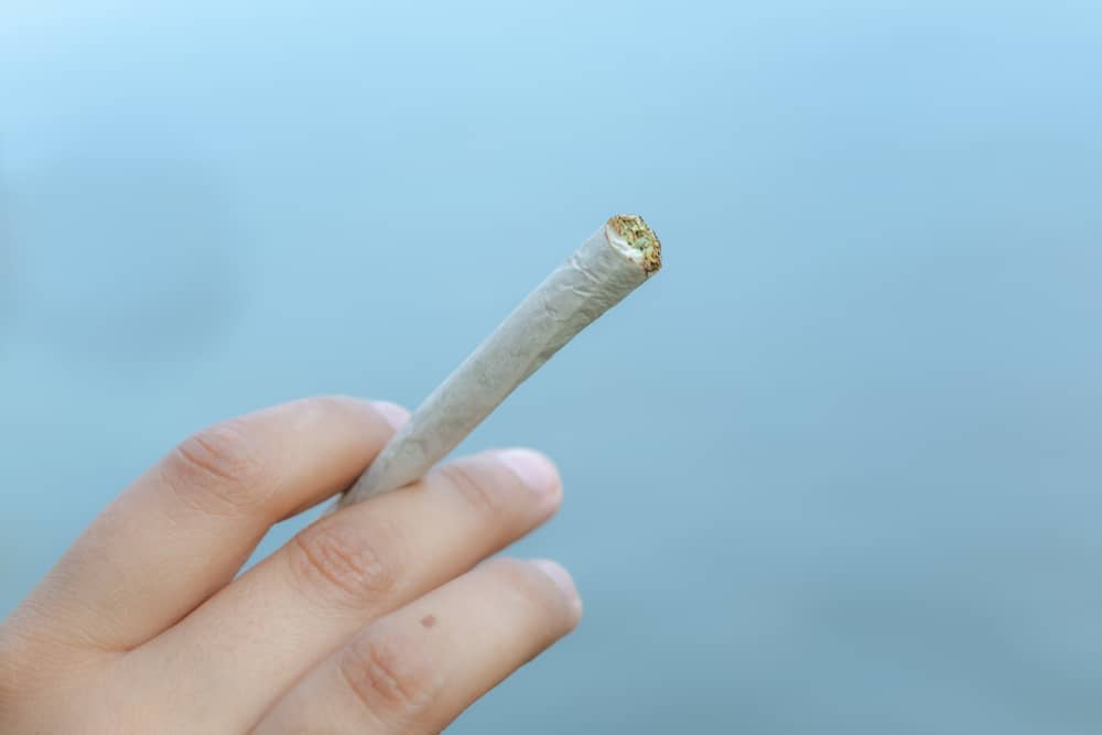 holding a pre-roll at dawn