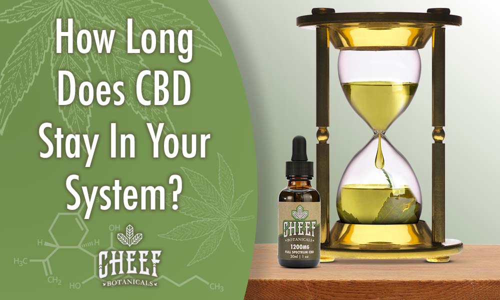 how long does cbd stay in your system