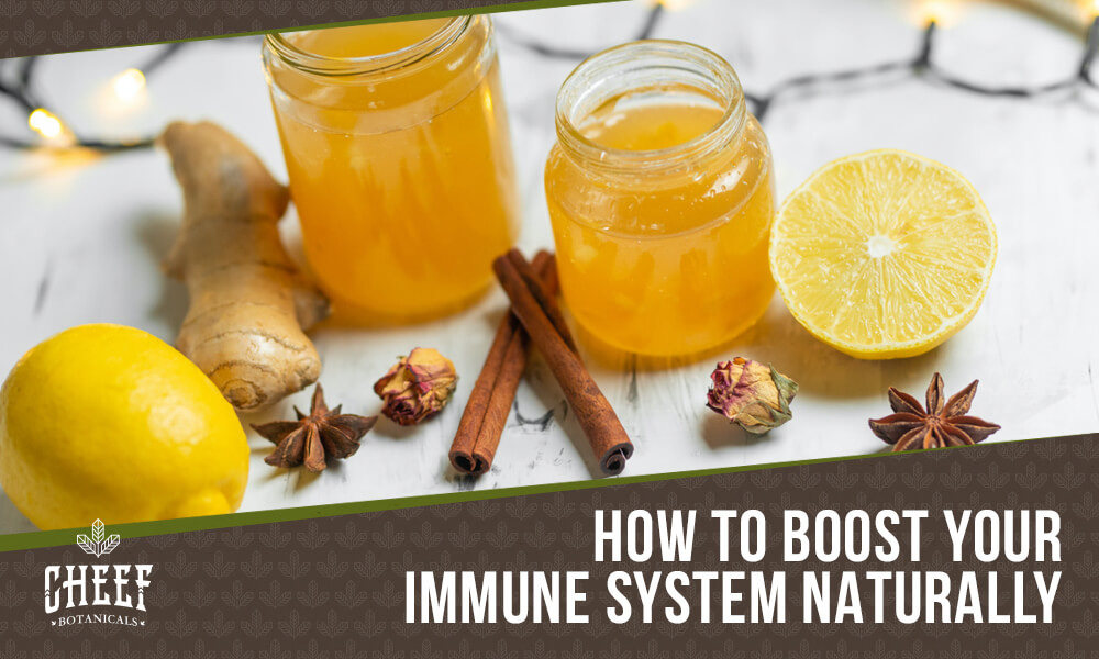 natural ways to boost the immune system