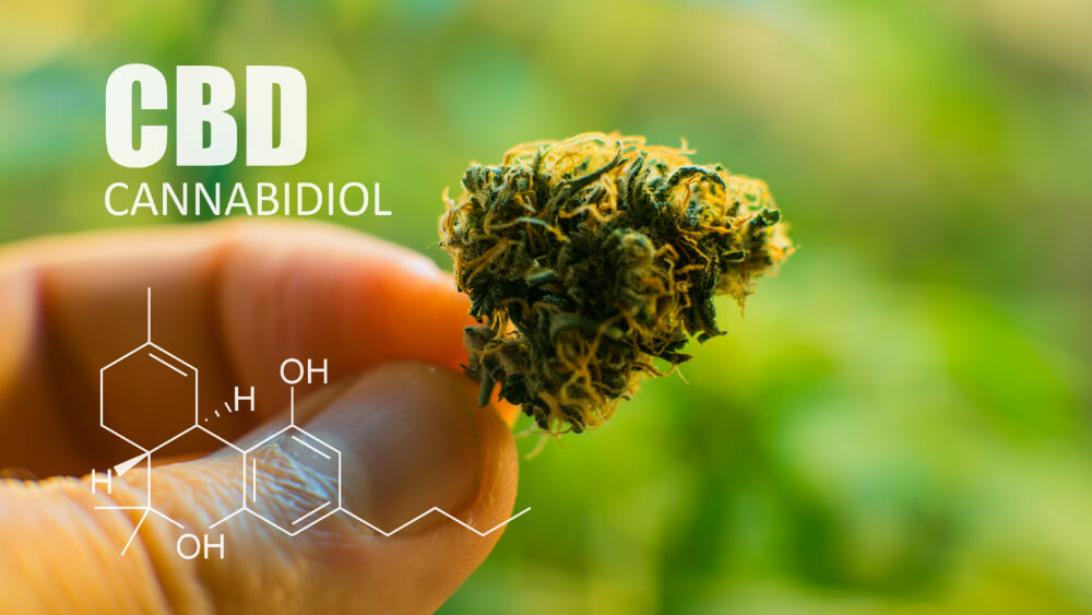 cbd bud and chemical structure