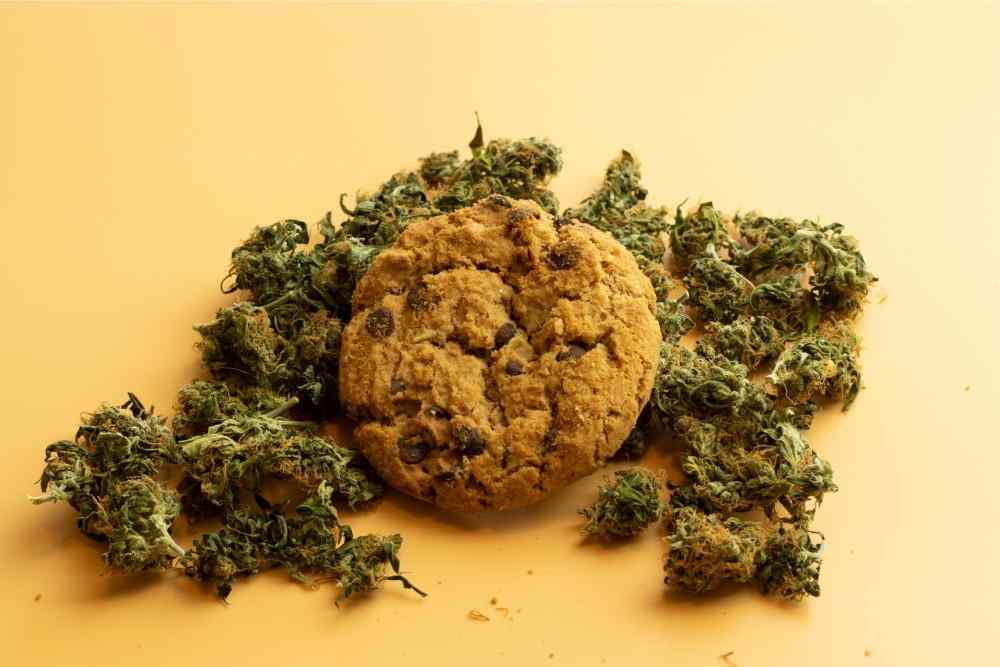 cookie surrounded by cbd buds