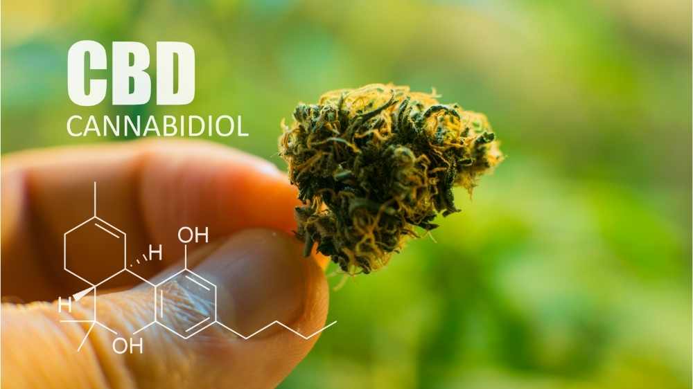 cbd flower and molecular structure