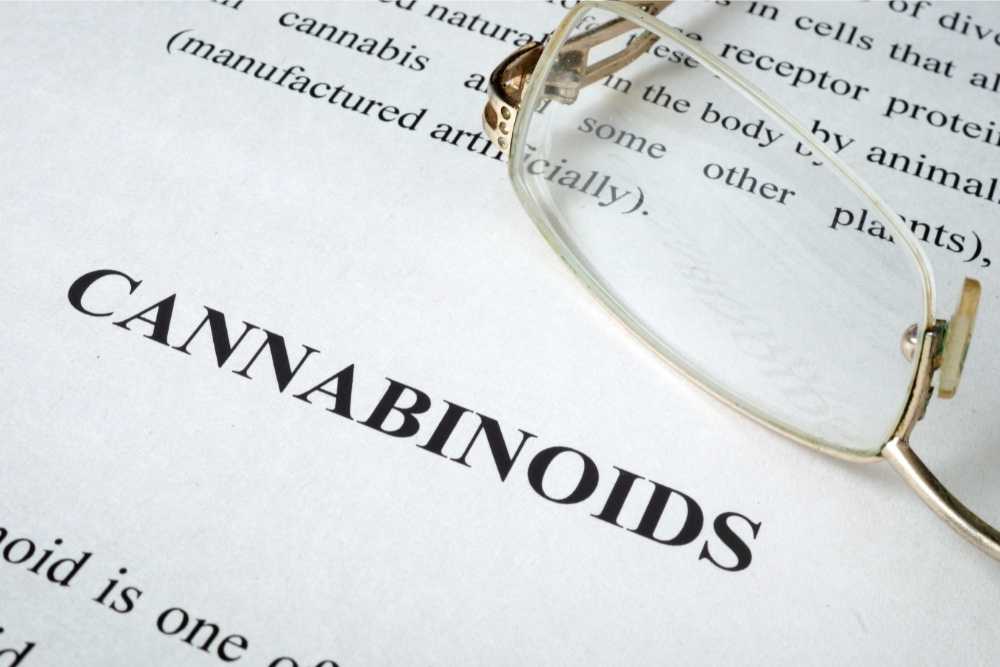 cannabinoid paper