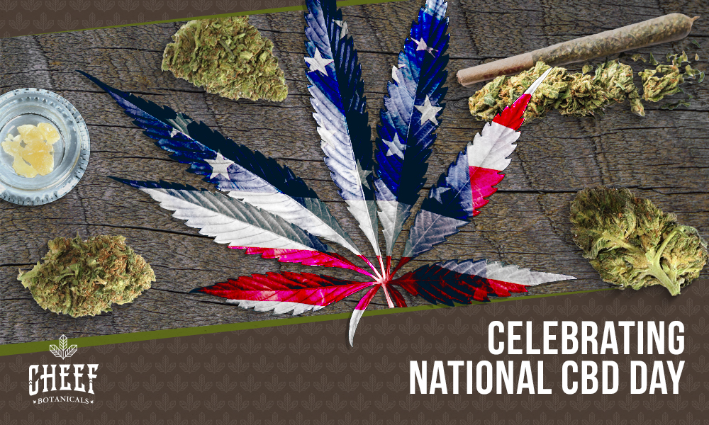 National CBD Day [History, Meaning, & Celebration] | Cheef Botanicals