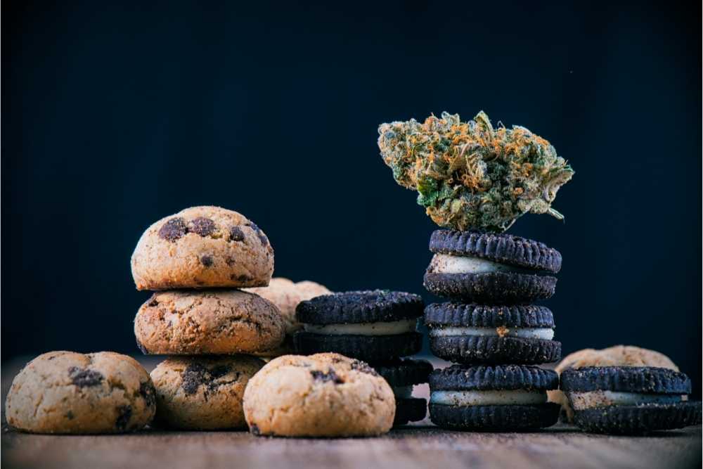 cookie and oreo edibles