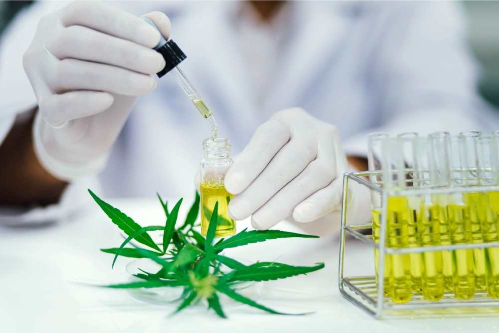 scientist testing cbd