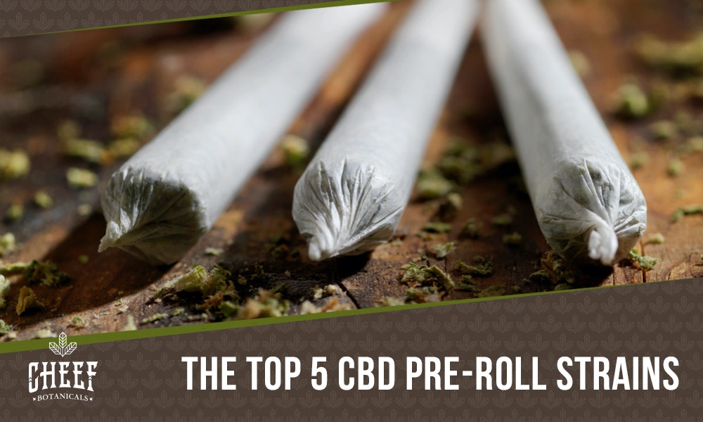 best CBD pre rolls