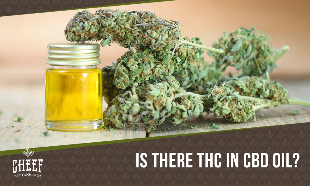 does cbd oil have thc