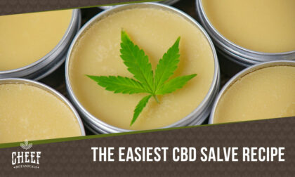 how to make cbd salve