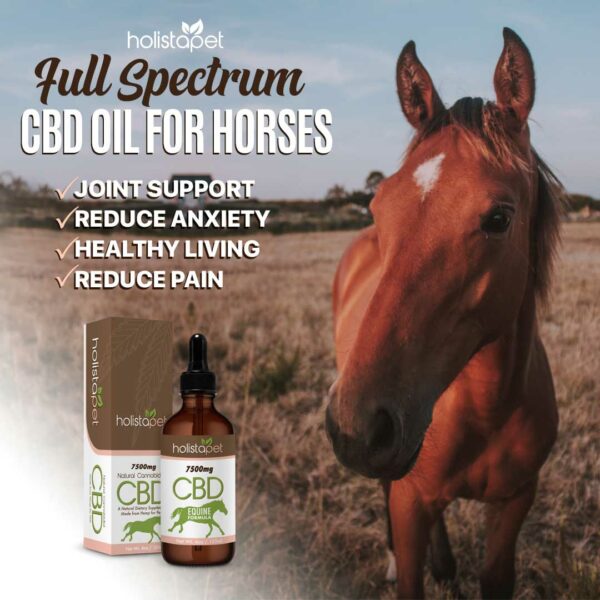 Full spectrum CBD for horses benefits