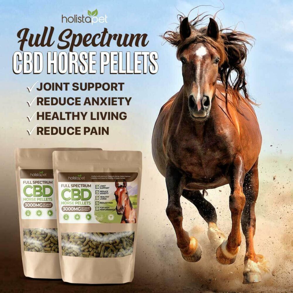 Holistapet CBD for Horses