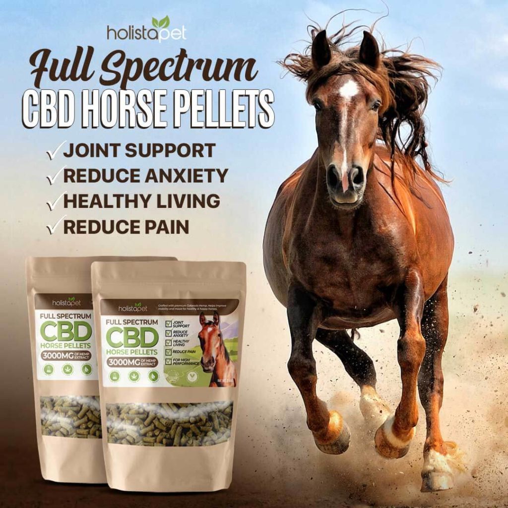 CBD Pellets for Horses | Hemp Pellets for Horses - HolistaPet