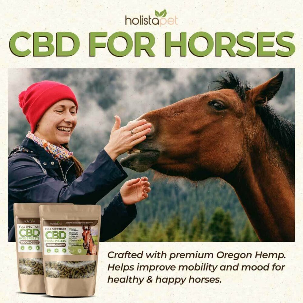 Holistapet CBD for Horses