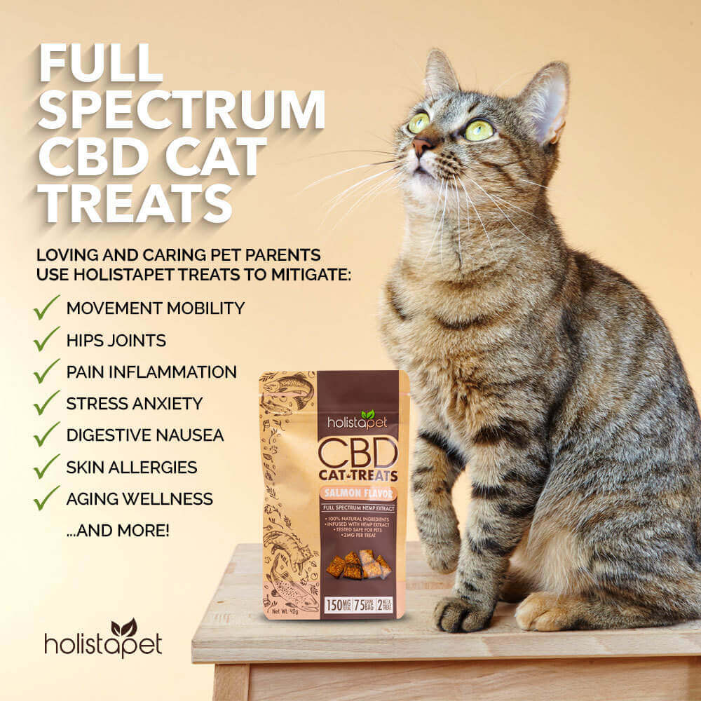 are cdb dog treats safe for cats