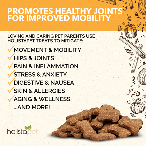 CBD Dog Treats for Joint and Mobility