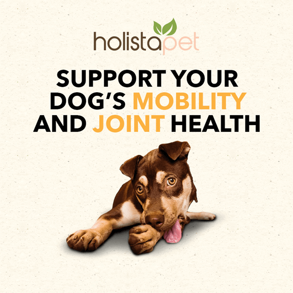 CBD Dog Treats for Joint and Mobility