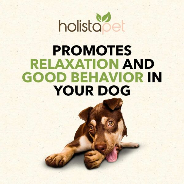 CBD Treats for Dogs with Stress and Anxiety