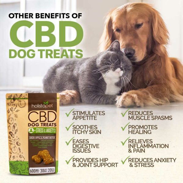 CBD Treats for Dogs with Stress and Anxiety
