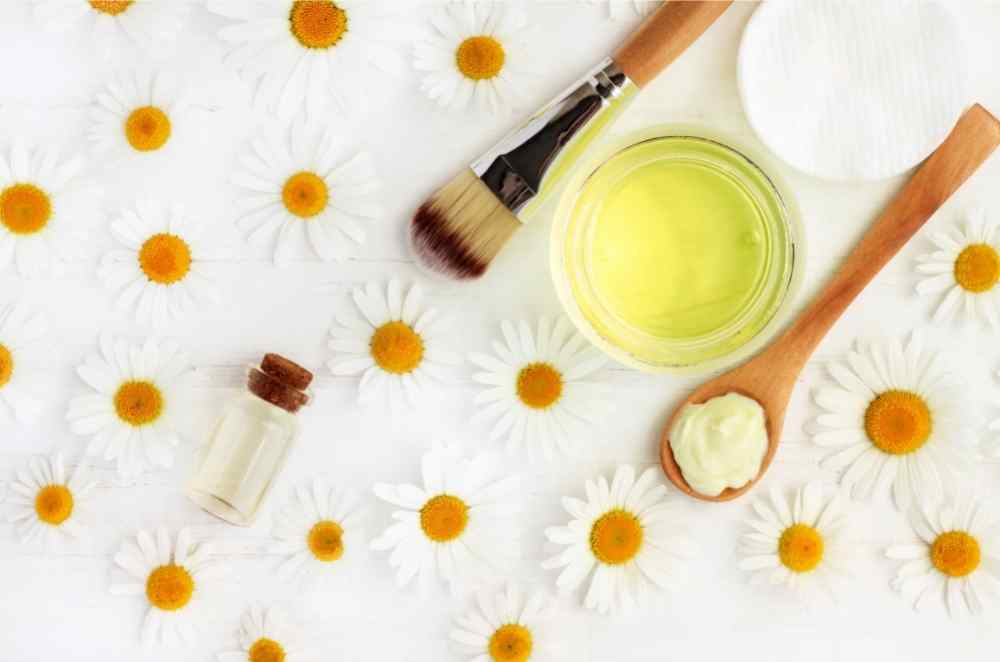 daisy flowers with oil and brush