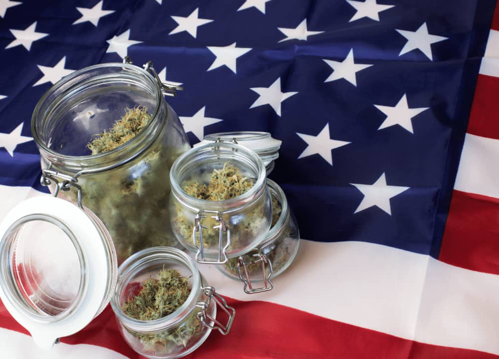 marijuana flower in jars with flag