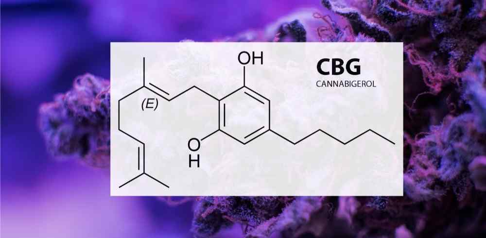 cbg molecular breakdown purple background