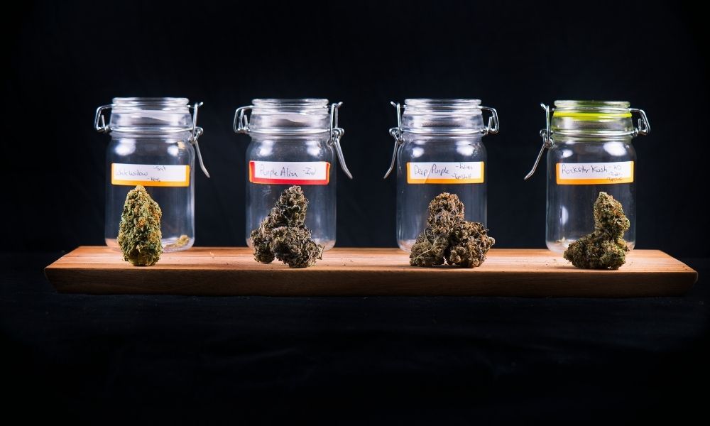 glass jars with hemp flower