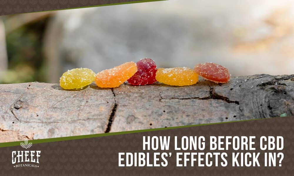 How Long Does it Take for CBD Edibles to Kick in