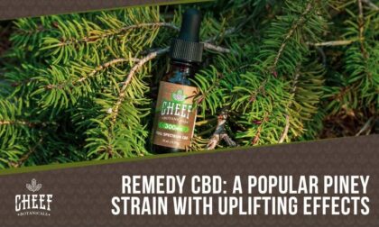 remedy cbd