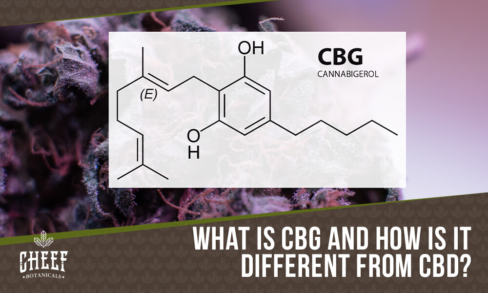 What is CBG