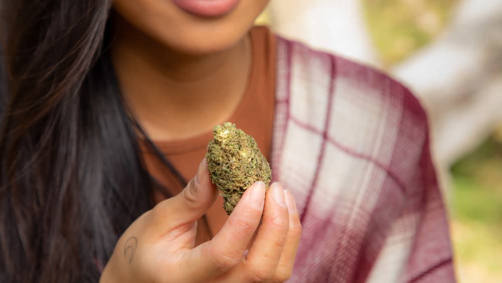 woman in flannel holding big bud