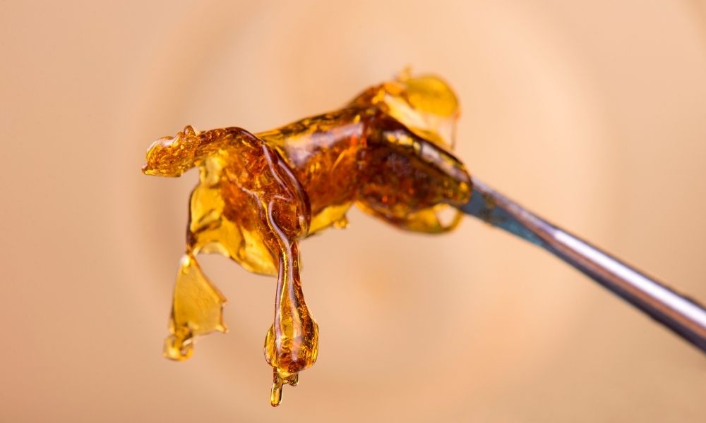cannabidiol concentrate on dab tool