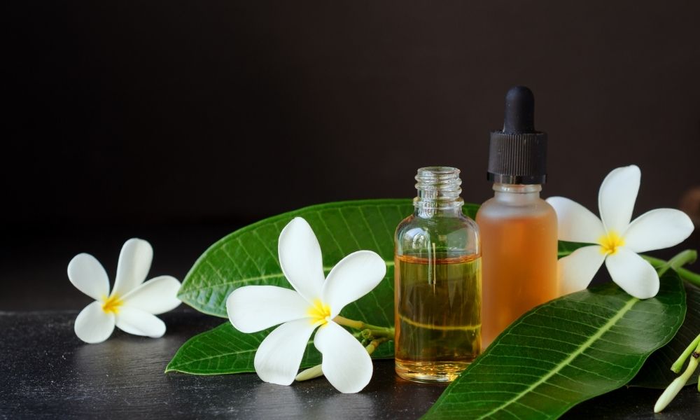 plumeria flowers next to essential oil